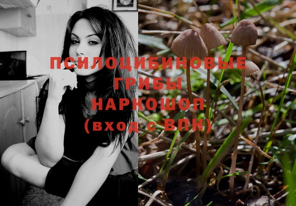каннабис Богородицк