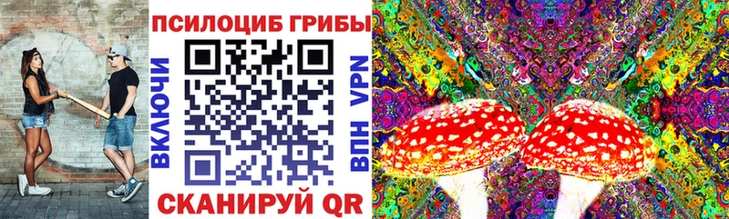 сколько стоит  darknet состав  Псилоцибиновые грибы MAGIC MUSHROOMS  Бодайбо 