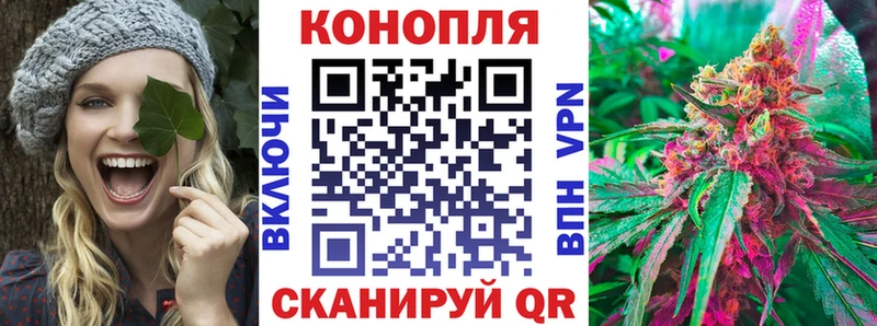 купить наркотики цена  Бодайбо  площадка официальный сайт  Шишки марихуана SATIVA & INDICA  ОМГ ОМГ вход 
